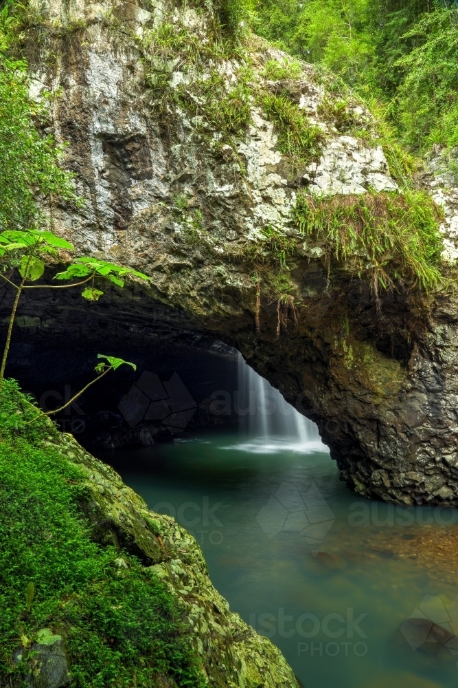 Natural Bridge waterfall in Springbrook National Park. - Australian Stock Image