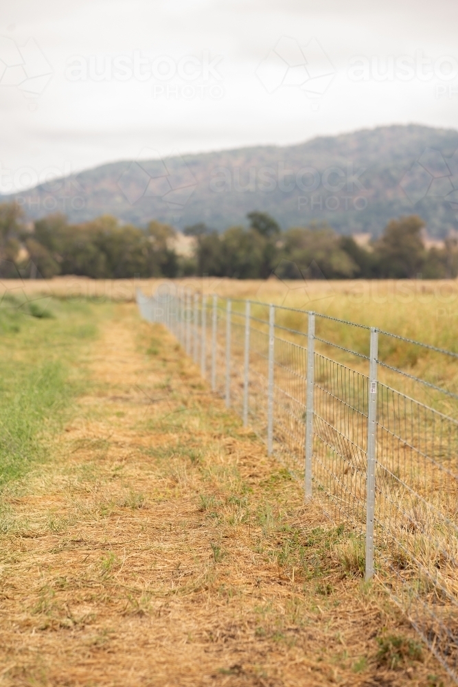 New paddock fence on a farm - Australian Stock Image