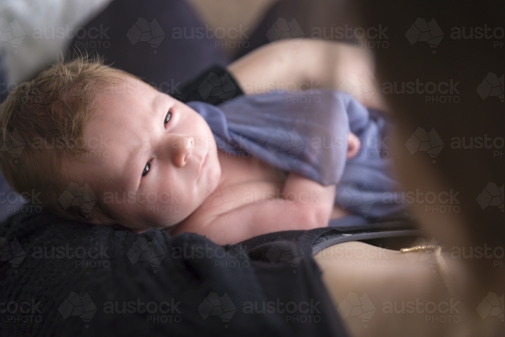 Newborn Baby Looking Into Mothers Eyes - Australian Stock Image