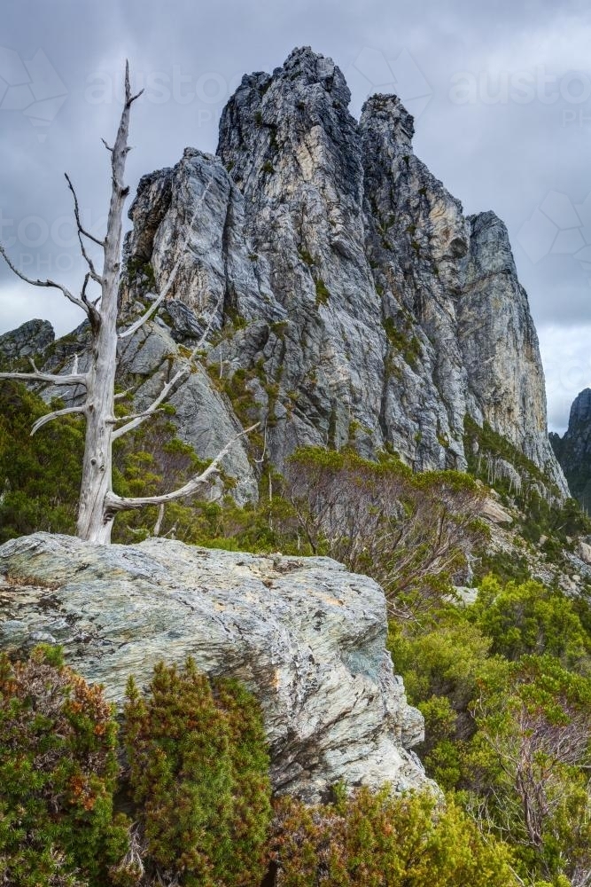 Nicoles Needle - Australian Stock Image