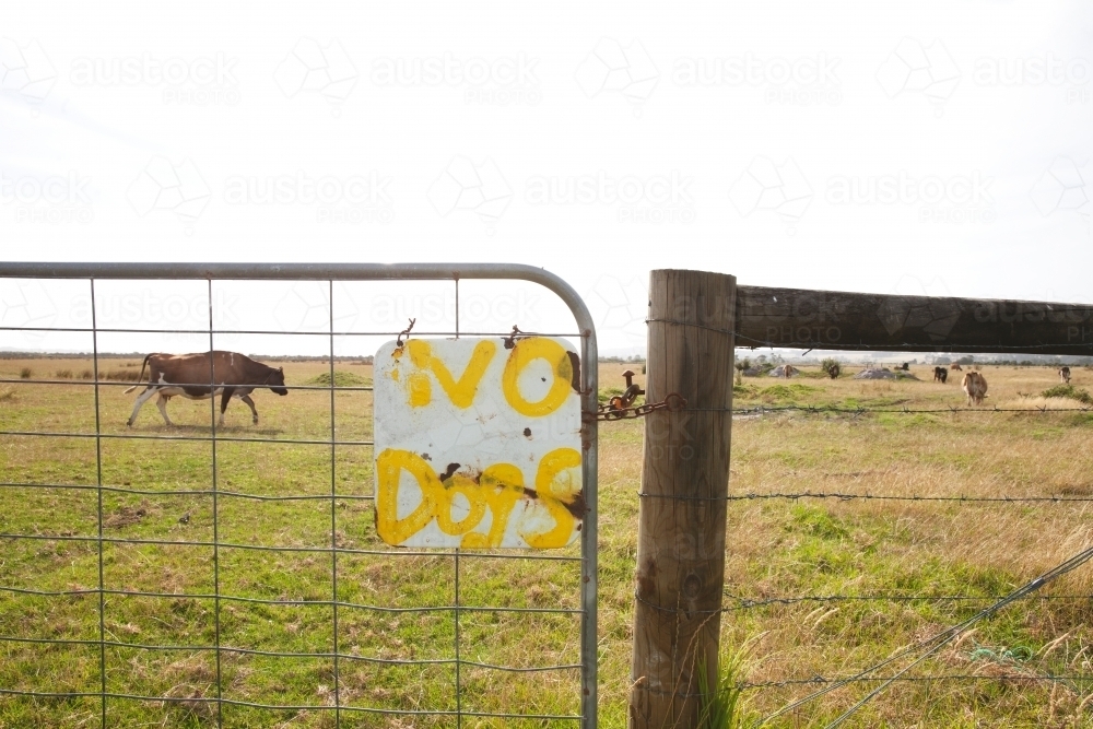 No dogs sign on farm - Australian Stock Image