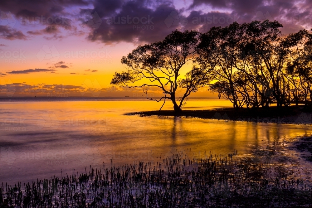 Nudgee Beach Sunrise - Australian Stock Image