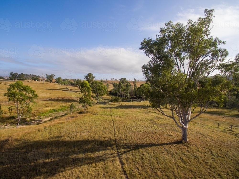 Oblique aerial view of grazing land. - Australian Stock Image