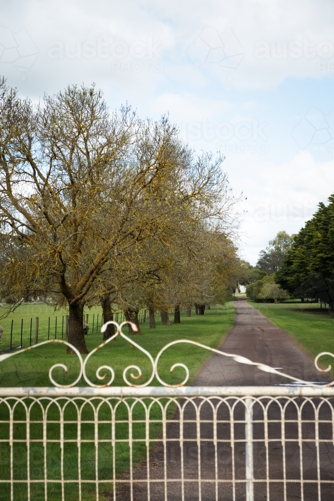 Old farm gate leads to a long tree lined driveway. - Australian Stock Image