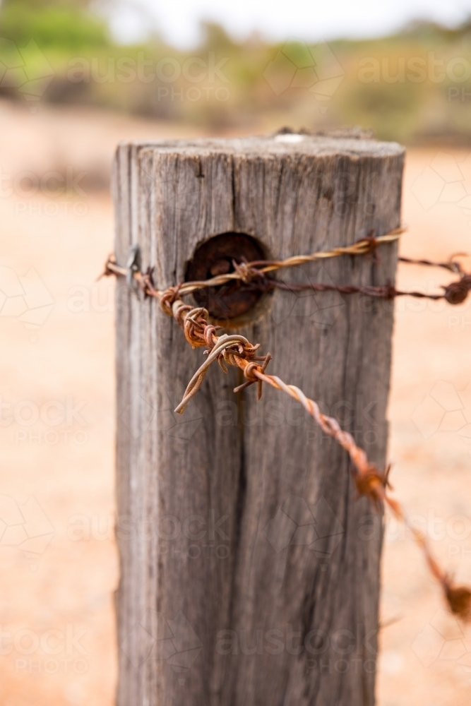 old fence post with barbed wire - Australian Stock Image