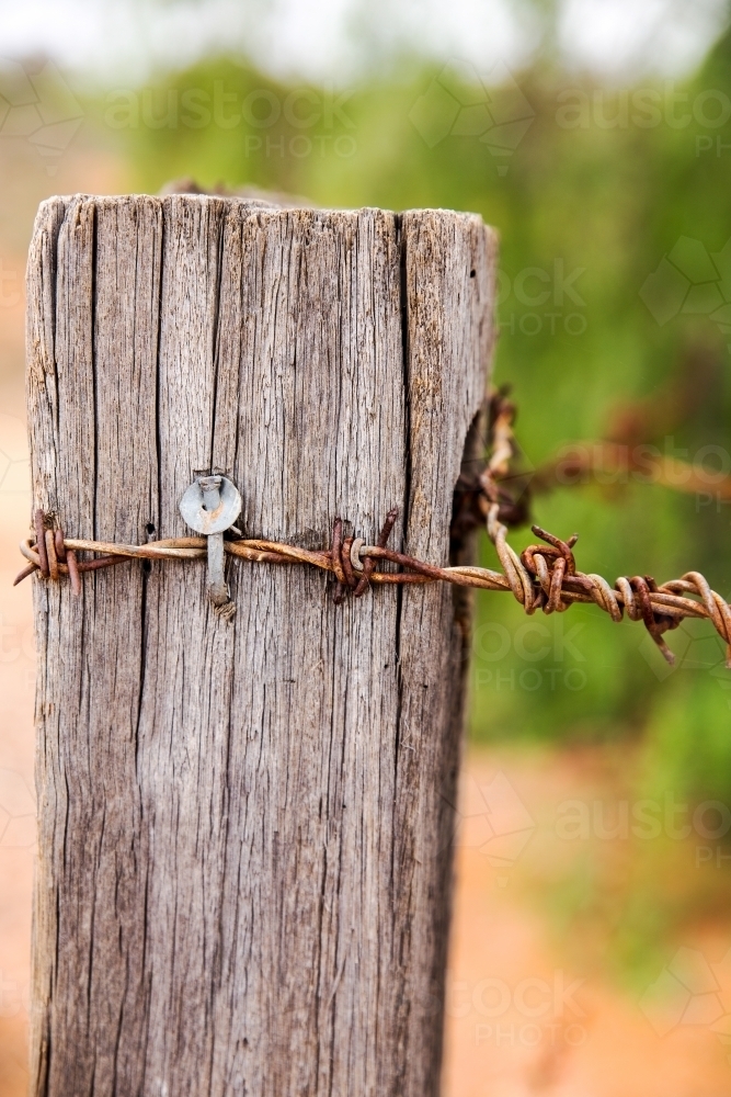 old fence post with barbed wire - Australian Stock Image