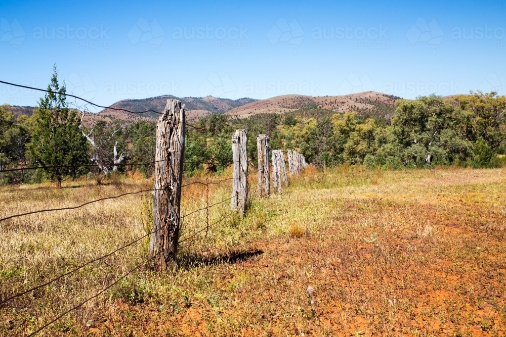 old fenceline heading towards trees - Australian Stock Image