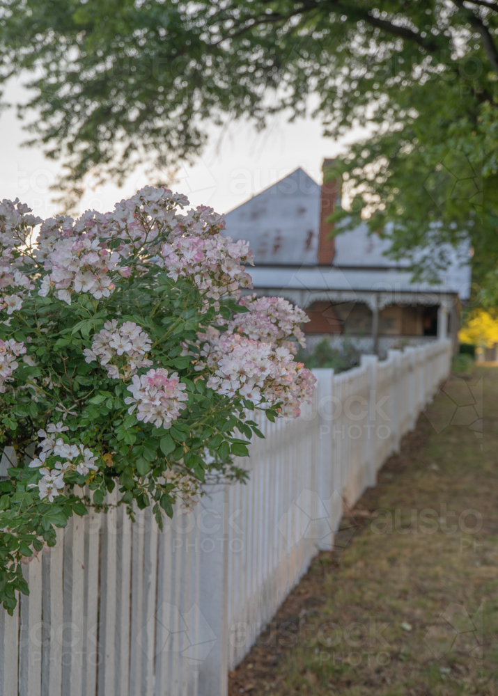 Old historic cottage and country garden - Australian Stock Image