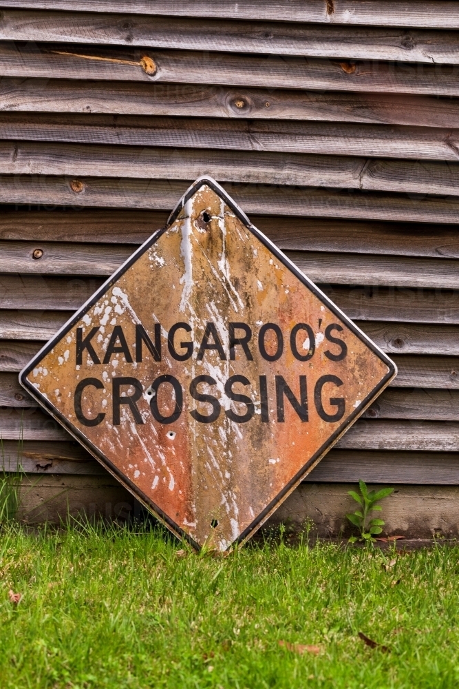 Old "Kangaroos crossing" sign sitting against wooden wall - Australian Stock Image