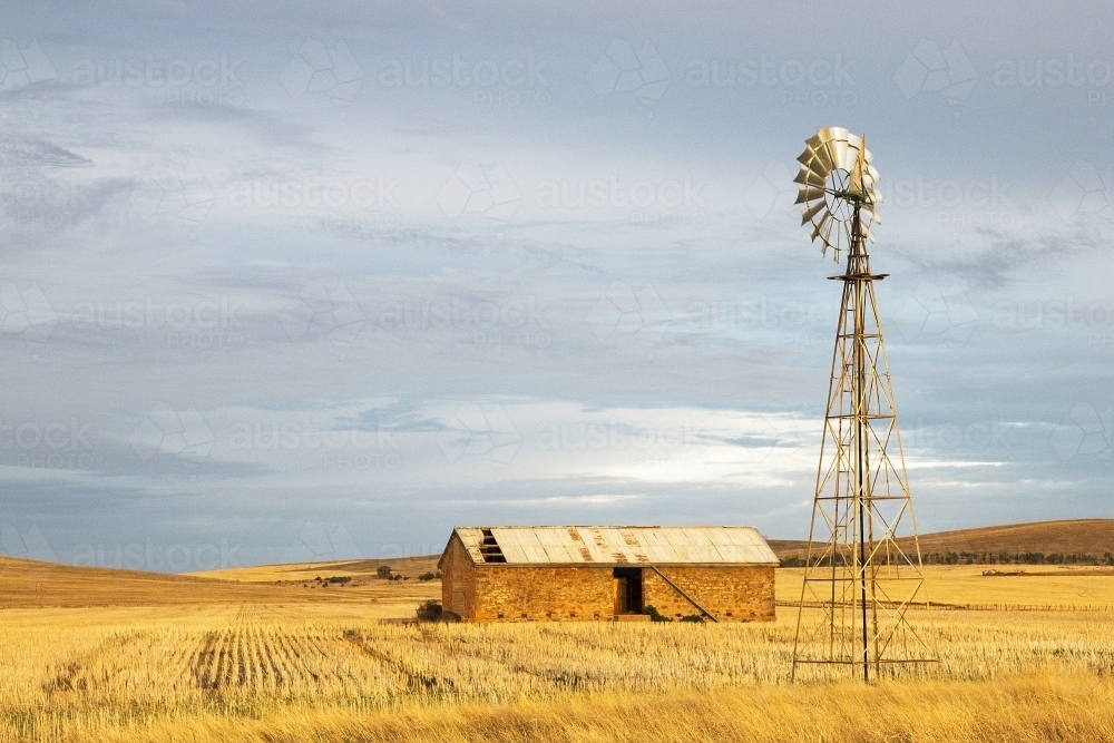 Old stone shed with windmill in golden stubble paddock - Australian Stock Image