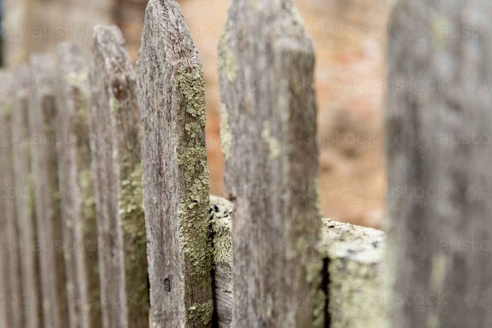 old weathered timber fence - Australian Stock Image