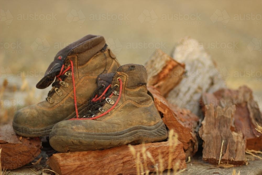 Old worn work boots resting on some split wood - Australian Stock Image