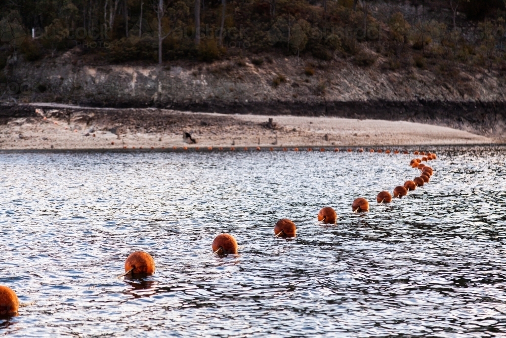 Orange buoys in a line floating on water of dam making barrier - Australian Stock Image