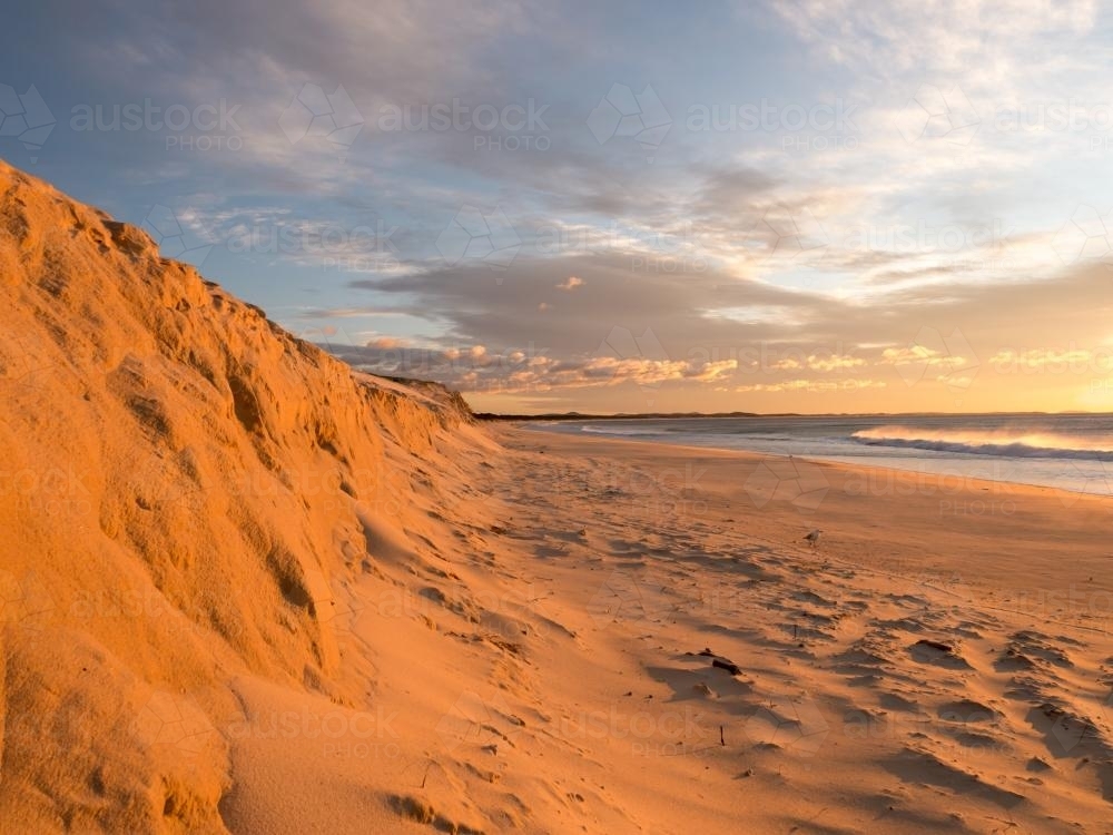 Orange cliffs of sand on the beach at sunrise - Australian Stock Image