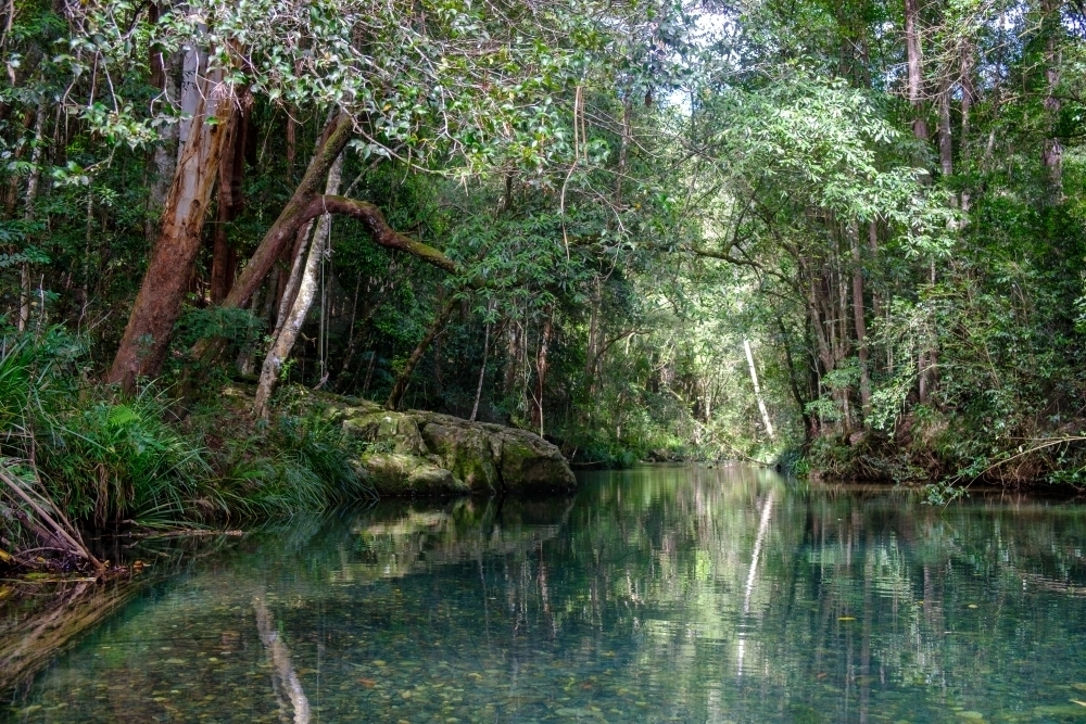 Still water river in rainforest - Australian Stock Image