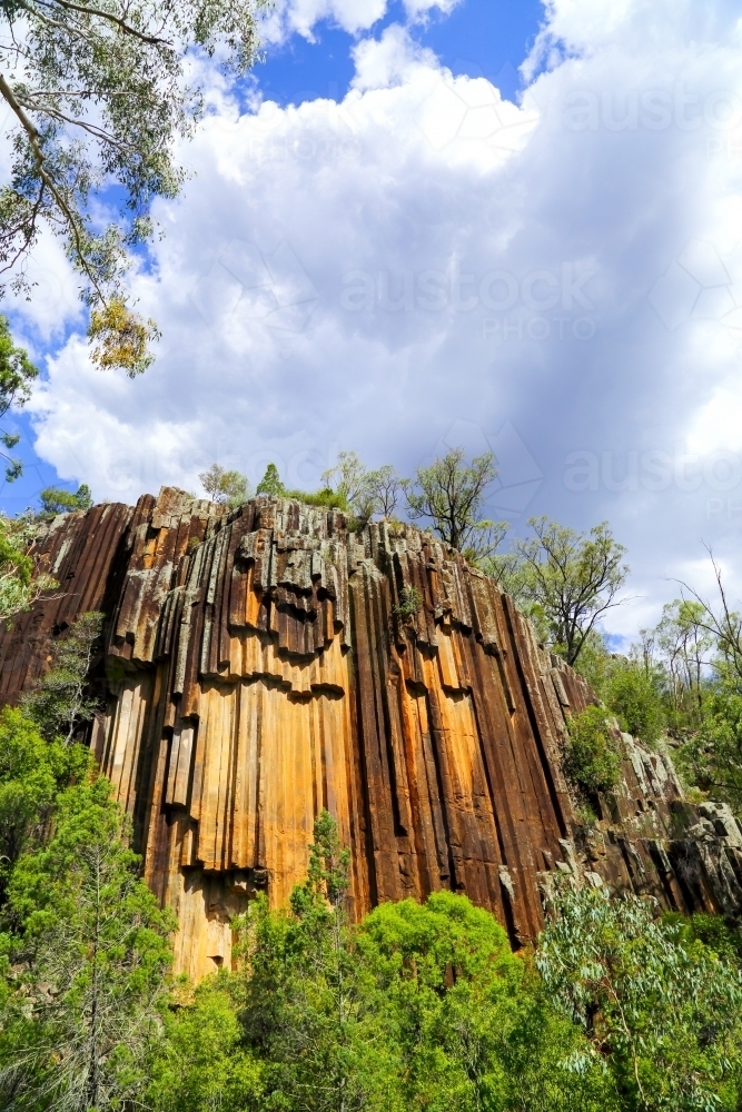 Organ-pipes or columnar jointing of Sawn Rocks, Kaputar National Park - Australian Stock Image