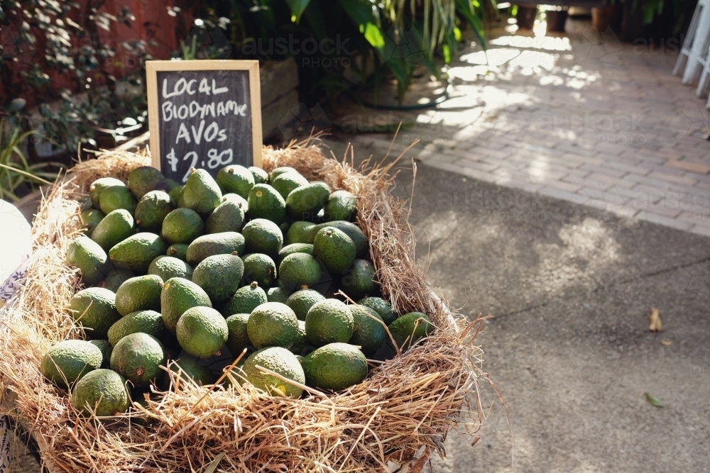 Organic avocado - Australian Stock Image