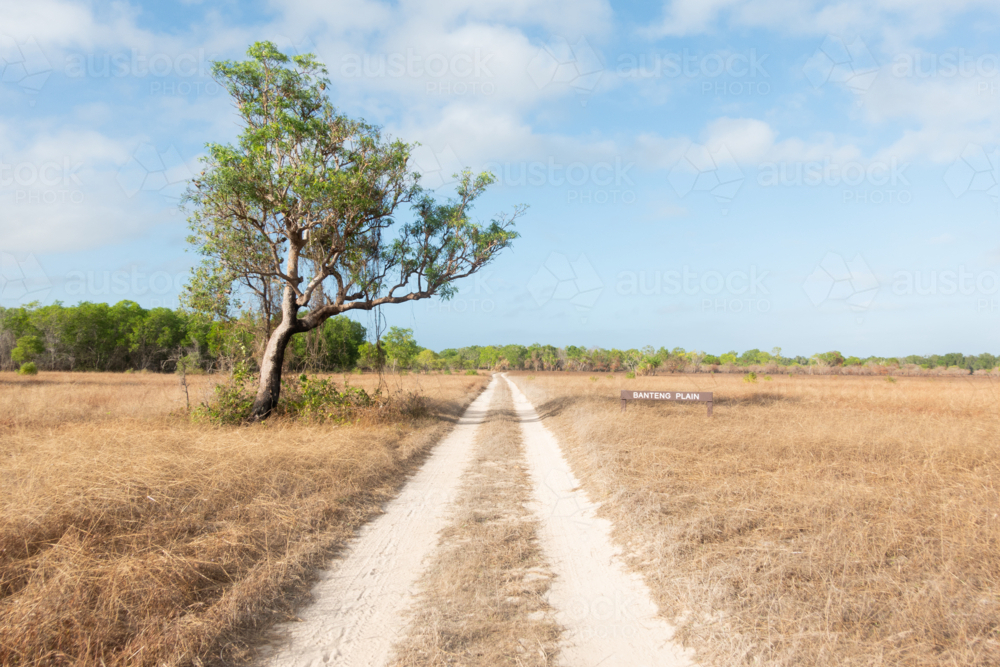 Outback coastal track in Arnhem Land - Australian Stock Image