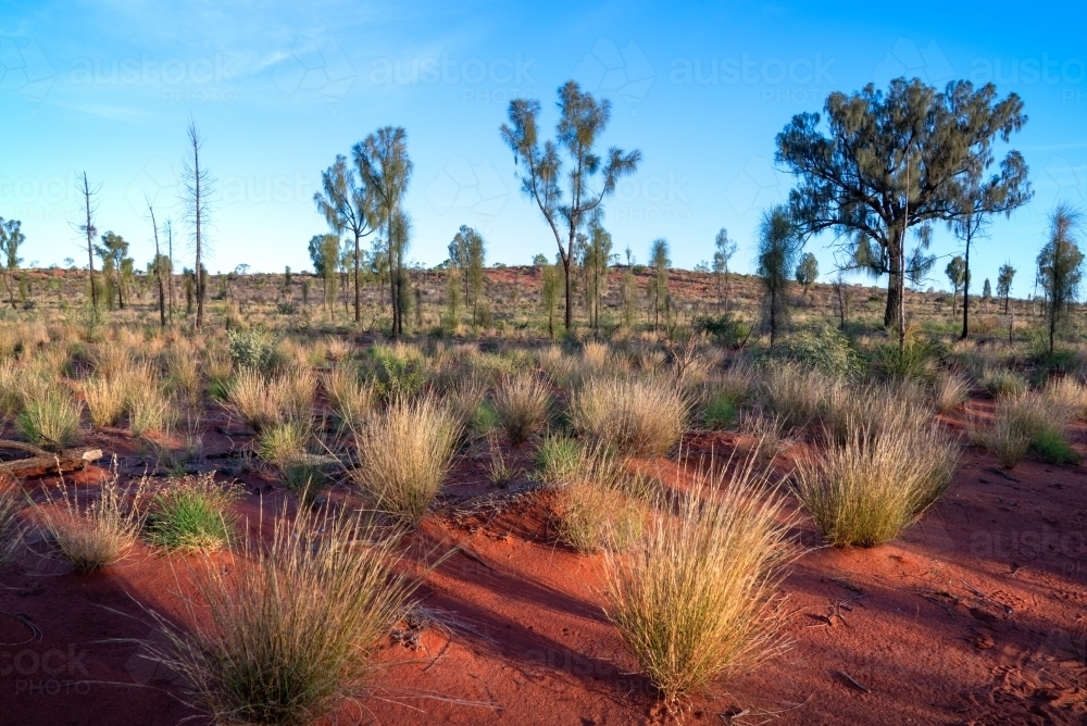 Outback desert sands - Australian Stock Image
