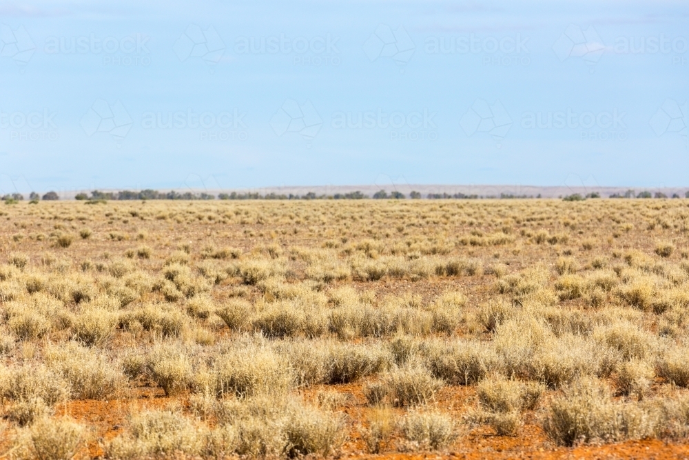 Image Of Outback Landscape With Dry Grass And Blue Sky Austockphoto