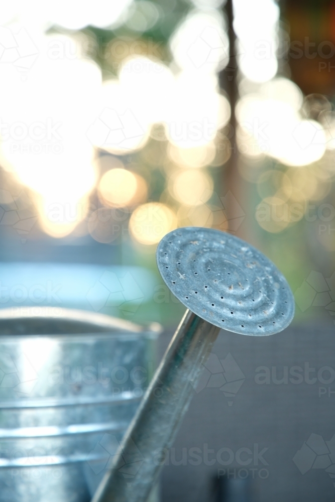 Outdoor watering can - Australian Stock Image