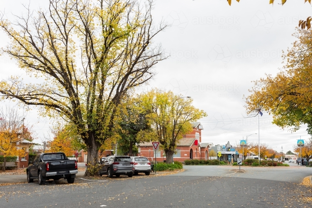 Overcast day with autumn leaves on trees of Euroa street - Australian Stock Image