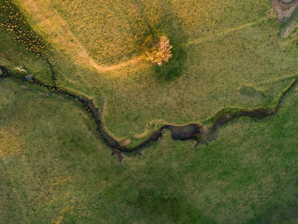 Overhead aerial view of creek winding through green farm paddock - Australian Stock Image