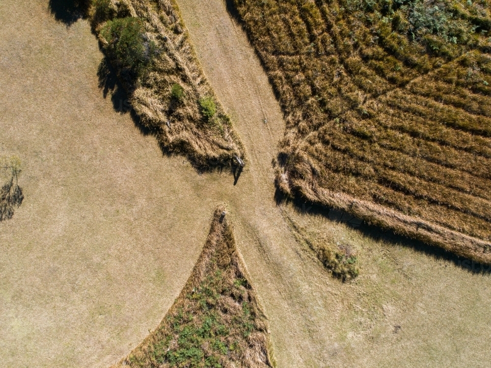 Overhead photo of grass patterns in paddock clearing camping ground - Australian Stock Image