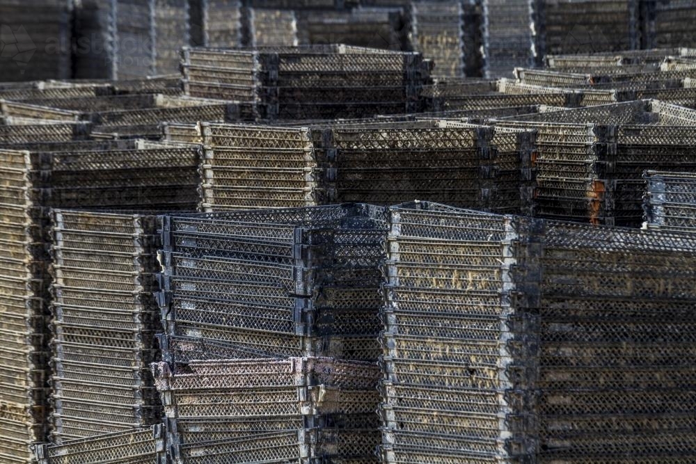 Oyster Nets - Australian Stock Image