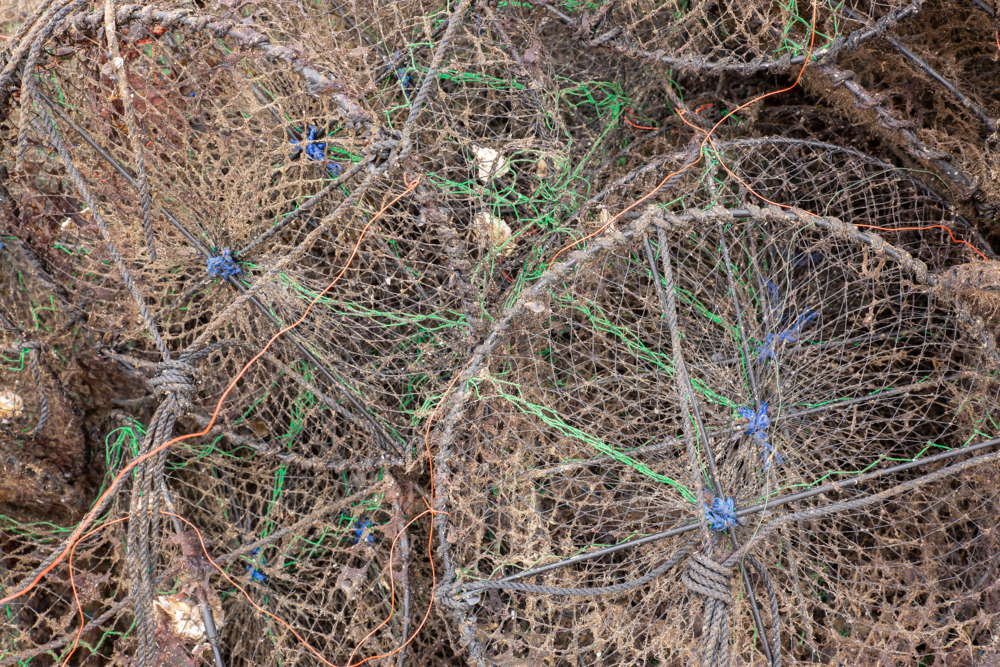 Oyster Nets - Australian Stock Image
