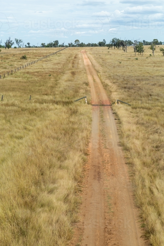 Paddock and dirt road with cattle grid on farm. - Australian Stock Image