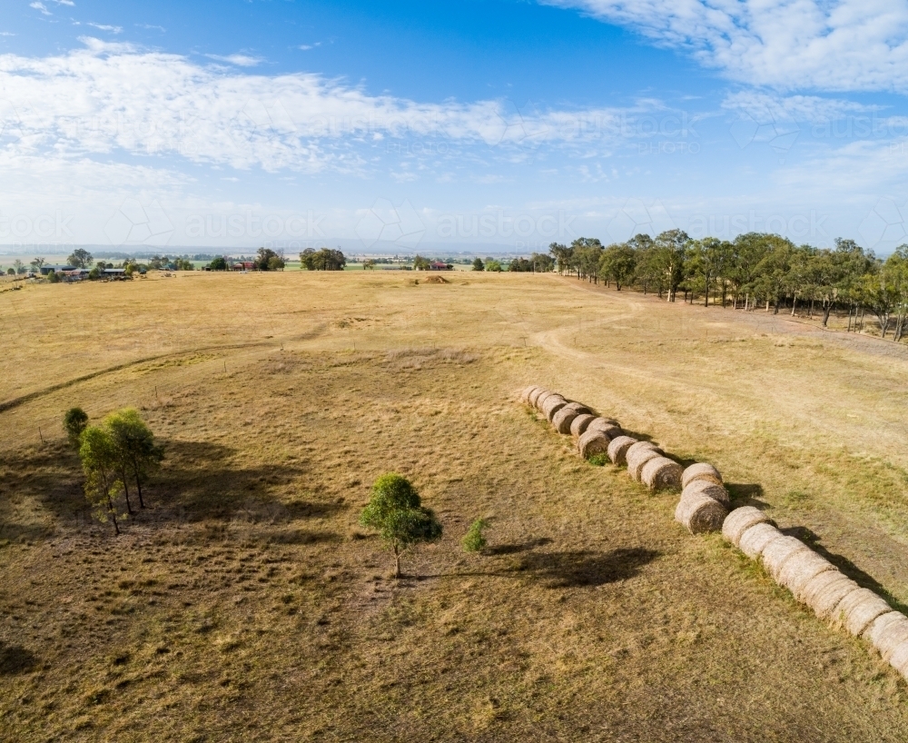 Image of Paddock on farm with line of round bales of hay - Austockphoto