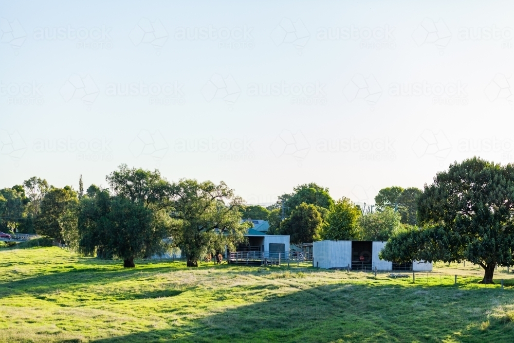 Paddock with farm shed building and livestock yards - Australian Stock Image