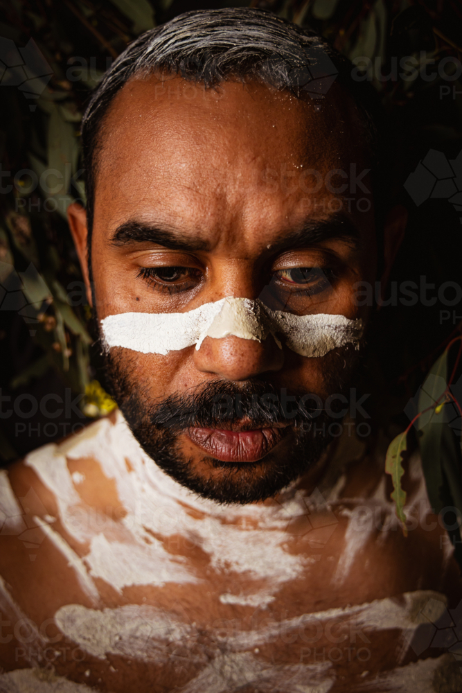 Painted up Aboriginal male headshot with leaves in background - Australian Stock Image