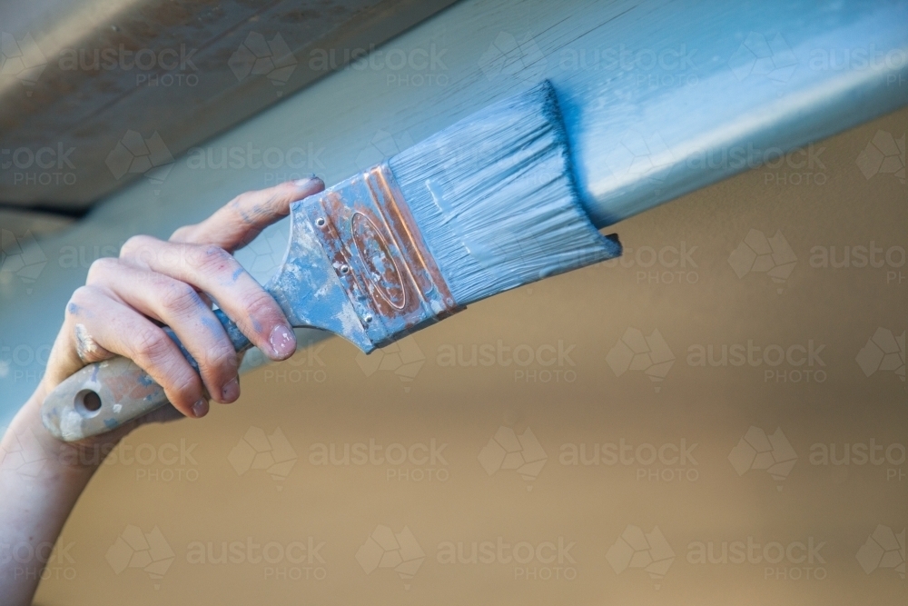 Painters hand painting house exterior blue with paint brush - Australian Stock Image