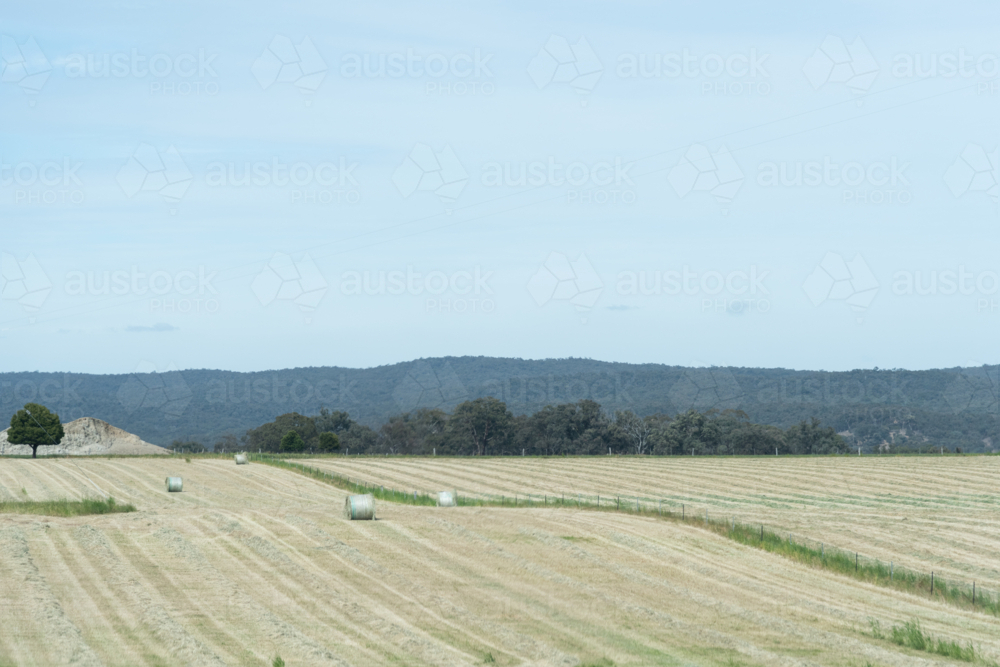 pastures of hay with bales and trees - Australian Stock Image