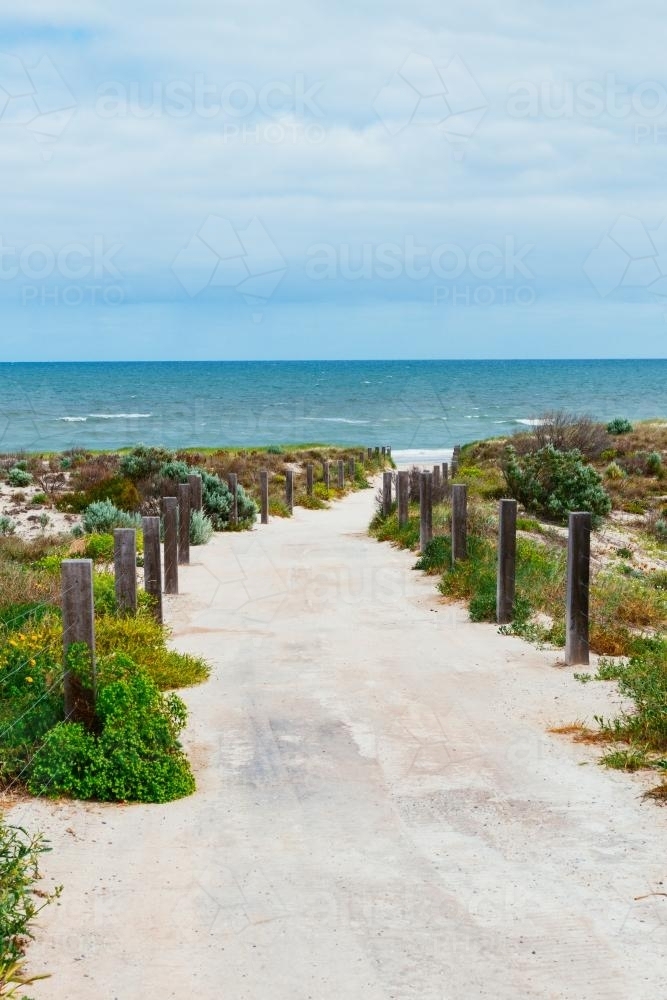 pathway to a beach - Australian Stock Image