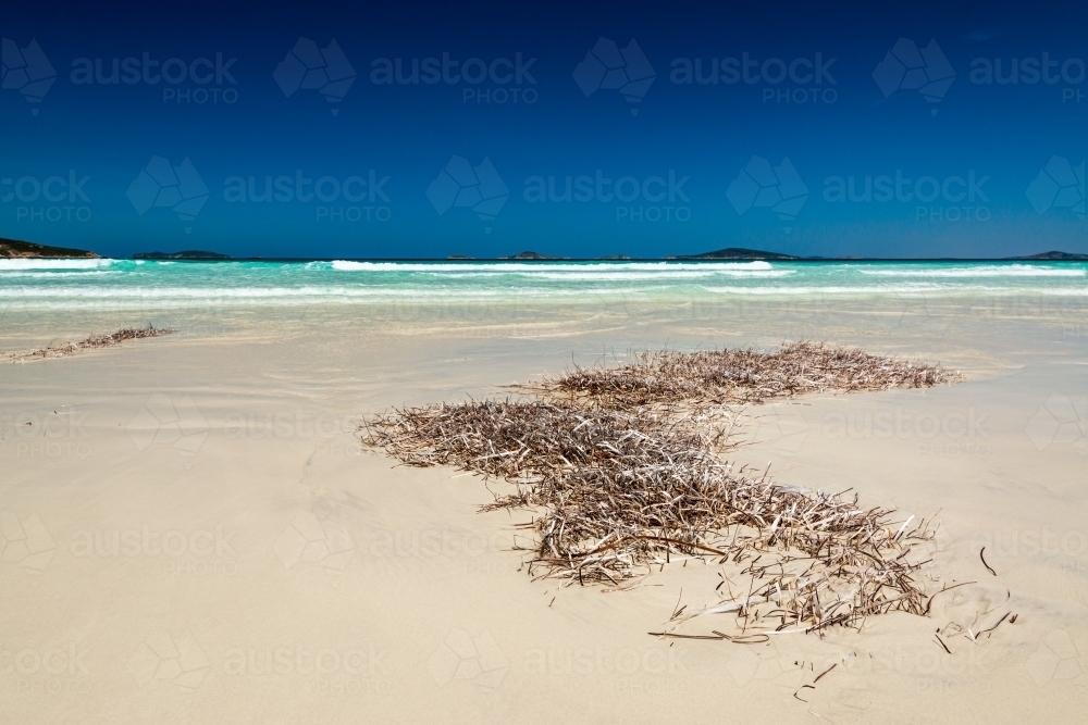 Pattern of weed on sandy beach with aqua ocean waves and deep blue sky above horizon - Australian Stock Image