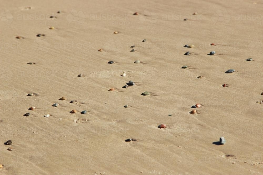 Pebbles washed up on the sand by the tide - Australian Stock Image