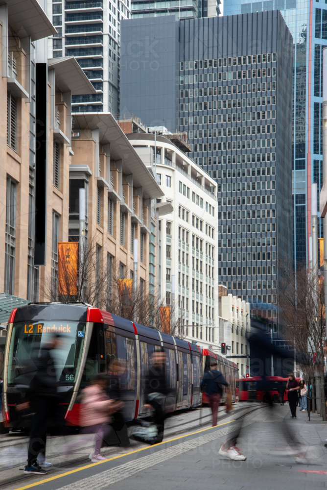 Pedestrians crossing road in front of light rail train in George Street - Australian Stock Image