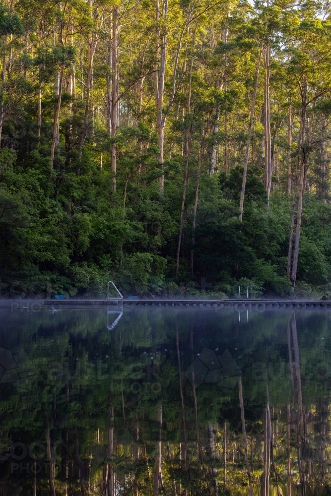 Pemberton pool with still water and reflections of tall trees - Australian Stock Image