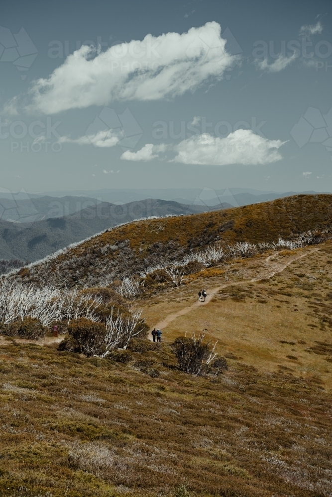 People hiking at the start of the Razorback Hiking Trailhead to Mount Feathertop. - Australian Stock Image