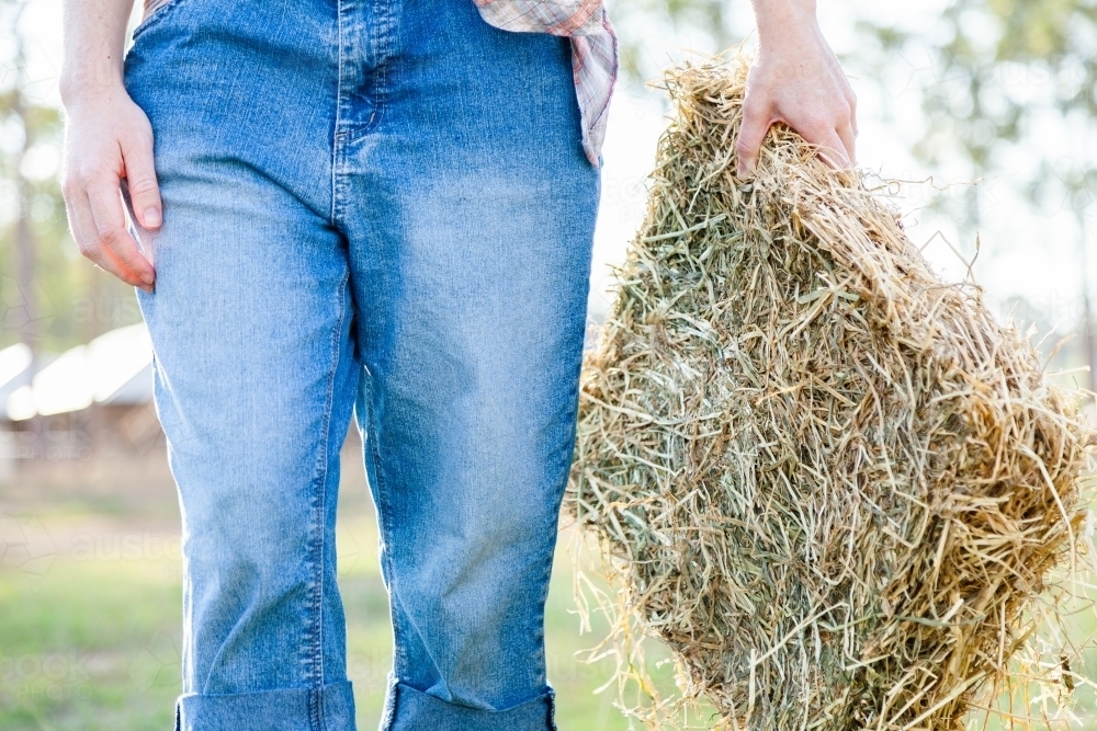 Person carrying hay biscuit to feed livestock - Australian Stock Image