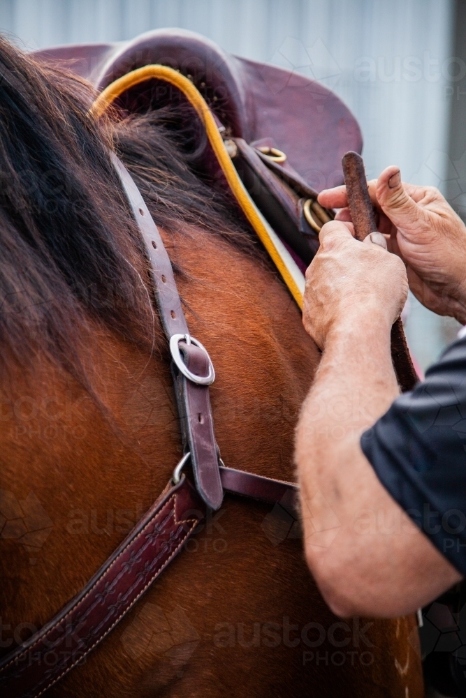 Person saddling up horse - Australian Stock Image