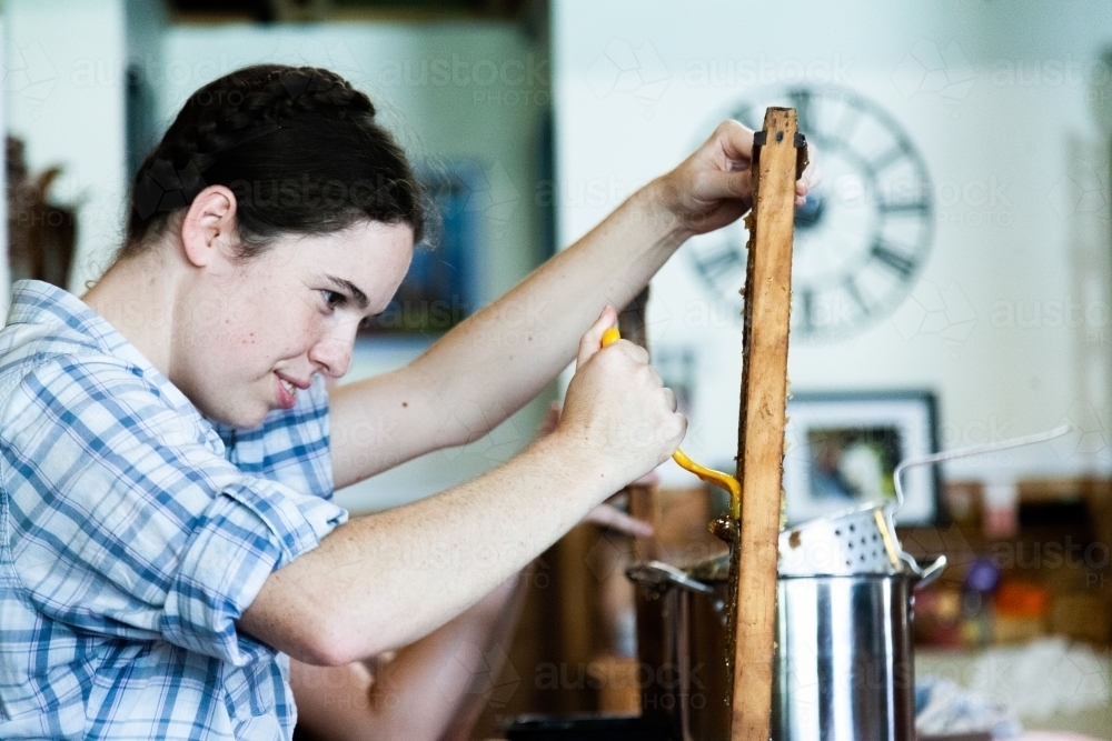 Person uncapping honey frames to harvest honey - Australian Stock Image