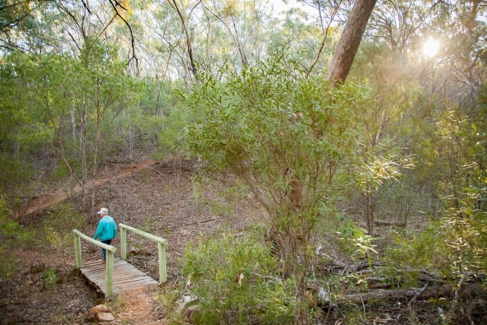 Person walking through bushland in the early morning - Australian Stock Image