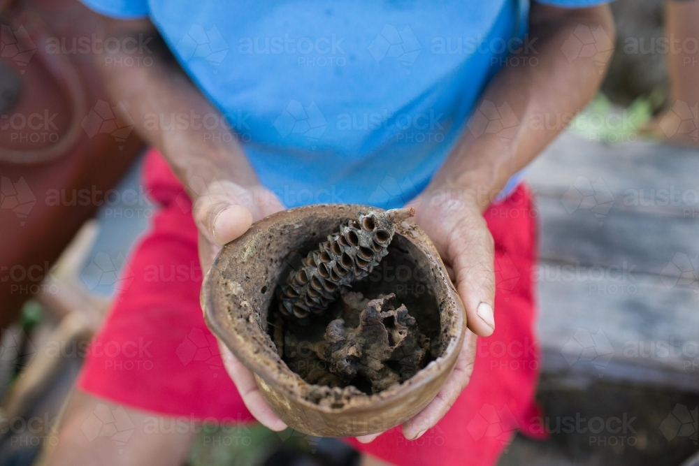 Persons hands holding wooden bowl with banksia seed pods - Australian Stock Image