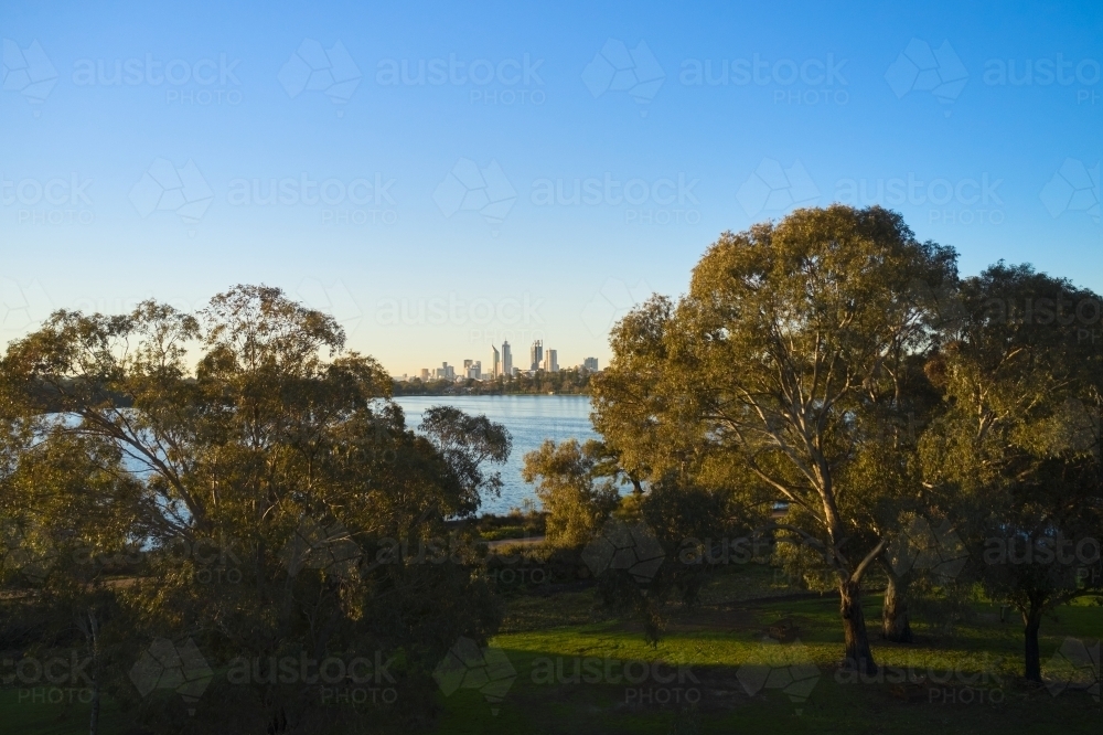 Perth Skyline View Between Trees at Lake Monger - Australian Stock Image