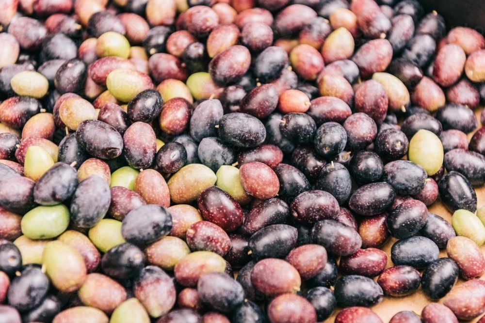 Pile of raw black and green olives - Australian Stock Image