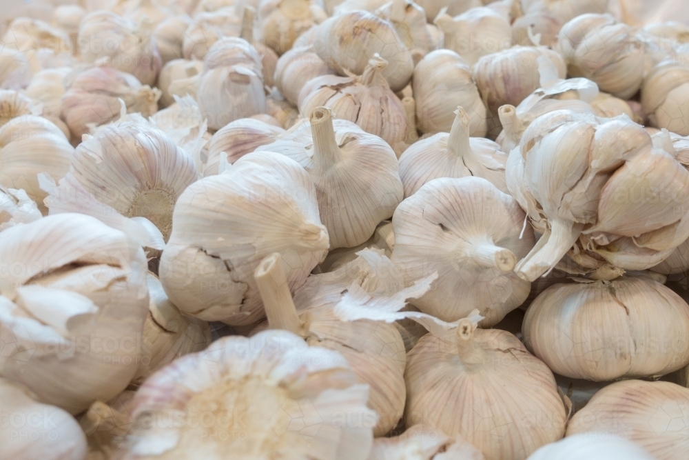 Pile of white garlic at the market. - Australian Stock Image